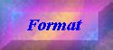 format.jpg (2457 bytes)